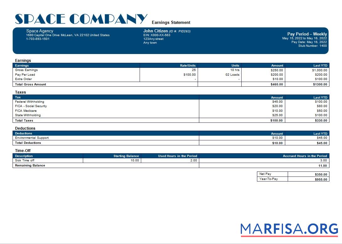 Printable Space company editable payslip example